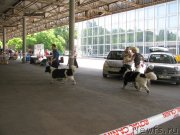 Превью фото № 129460