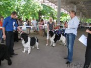 Превью фото № 129462