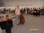 Превью фото № 129473