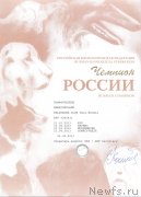 Превью фото № 129483