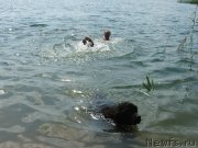 Превью фото № 129487