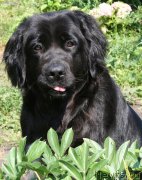 Превью фото № 129491