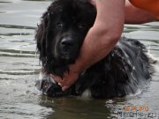 Превью фото № 129595