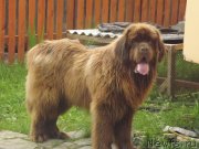 Превью фото № 129619