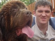 Превью фото № 129621