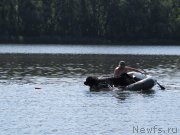 Превью фото № 129652