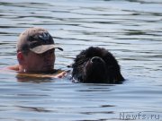 Превью фото № 129653