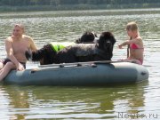 Превью фото № 129654