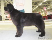 Превью фото № 129669