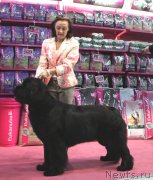 Превью фото № 129671