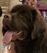 Превью фото № 129735