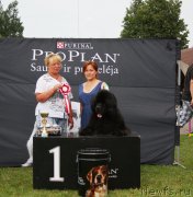 Превью фото № 129805