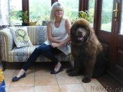 Превью фото № 129851