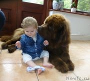 Превью фото № 129852