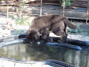 Превью фото № 129891