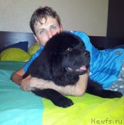 Превью фото № 129926