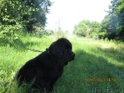 Превью фото № 129937