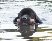 Превью фото № 129944