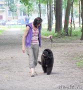 Превью фото № 129963