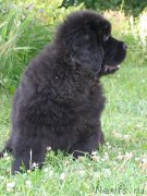 Превью фото № 130027