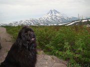 Превью фото № 130028