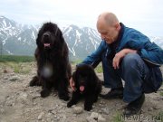 Превью фото № 130031