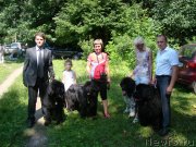 Превью фото № 130046