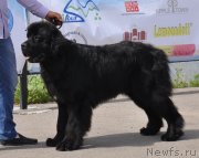 Превью фото № 130075