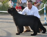 Превью фото № 130081