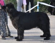 Превью фото № 130082