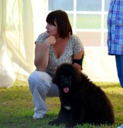 Превью фото № 130181