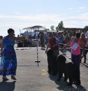 Превью фото № 130196