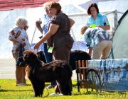 Превью фото № 130202