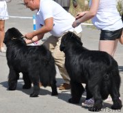 Превью фото № 130214