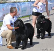 Превью фото № 130215