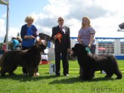 Превью фото № 130238