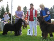 Превью фото № 130239