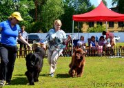 Превью фото № 130240