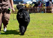 Превью фото № 130241