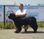 Превью фото № 130279