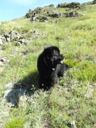 Превью фото № 130313