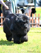 Превью фото № 130321