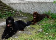 Превью фото № 130330