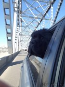 Превью фото № 130341