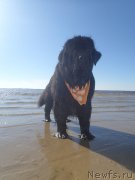 Превью фото № 130346