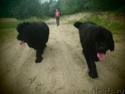 Превью фото № 130349