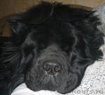 Превью фото № 13035