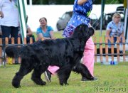 Превью фото № 130351