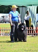 Превью фото № 130352