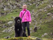 Превью фото № 130375